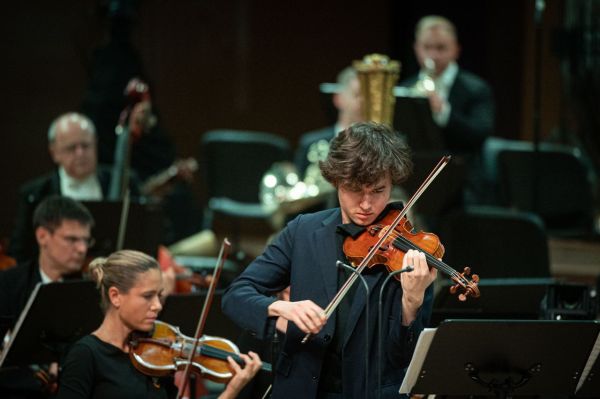 Fantastical violin dreams