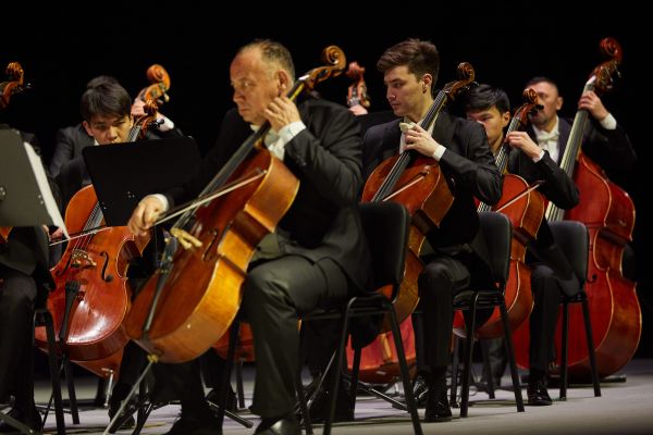 The Library of Sound